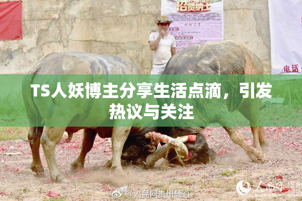 TS人妖博主分享生活点滴，引发热议与关注