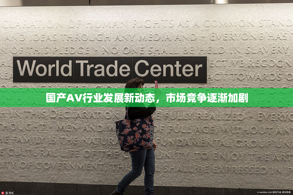 国产AV行业发展新动态，市场竞争逐渐加剧