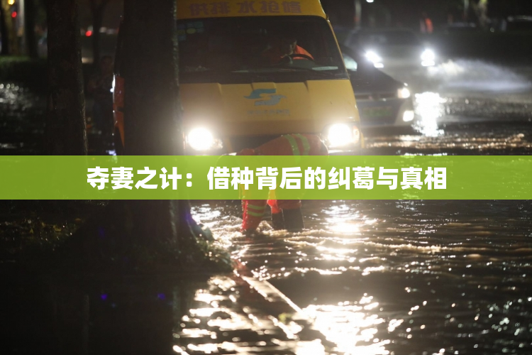 夺妻之计：借种背后的纠葛与真相