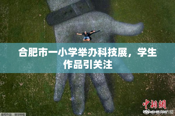 合肥市一小学举办科技展，学生作品引关注