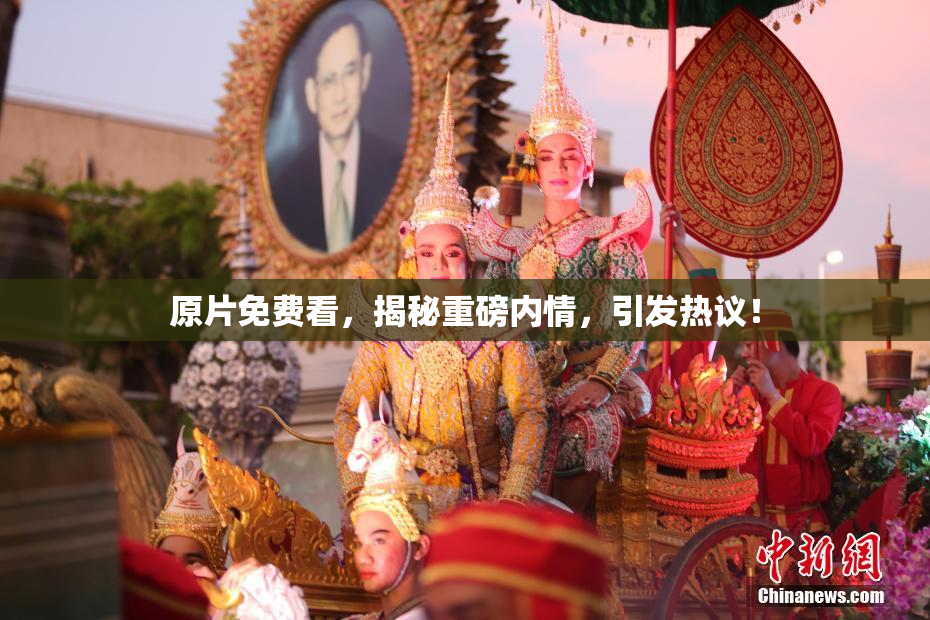 原片免费看，揭秘重磅内情，引发热议！