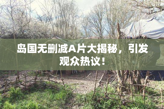 岛国无删减A片大揭秘，引发观众热议！