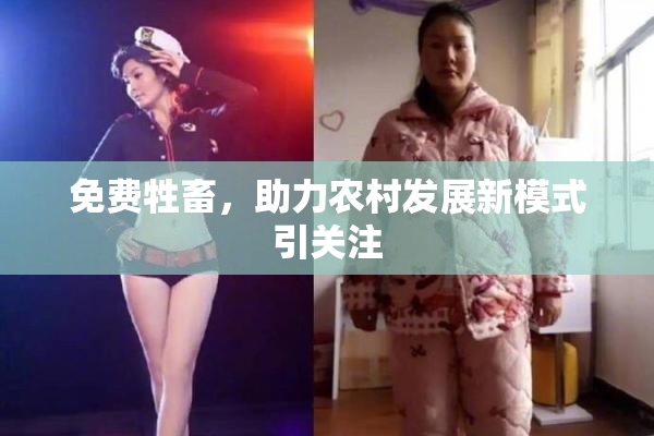 免费牲畜，助力农村发展新模式引关注