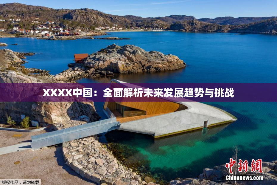 XXXX中国：全面解析未来发展趋势与挑战