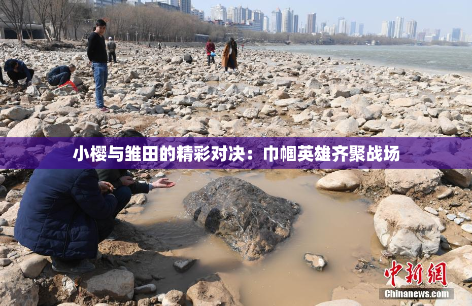 小樱与雏田的精彩对决：巾帼英雄齐聚战场