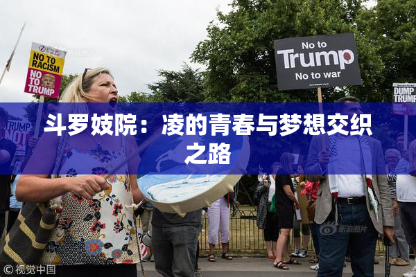斗罗妓院：凌的青春与梦想交织之路