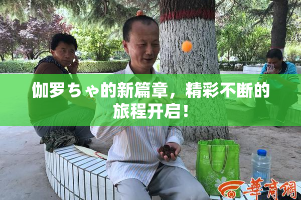 伽罗ちゃ的新篇章，精彩不断的旅程开启！