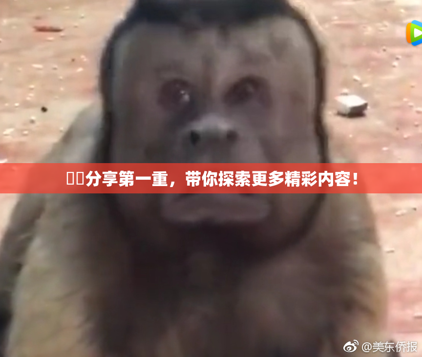 妺妺分享第一重，带你探索更多精彩内容！