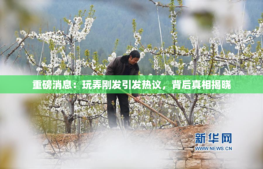 重磅消息：玩弄刚发引发热议，背后真相揭晓
