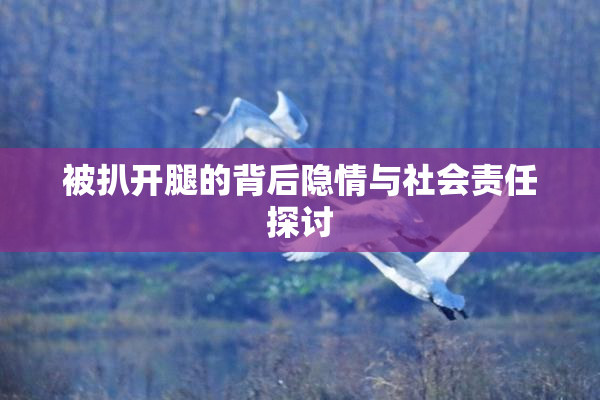 被扒开腿的背后隐情与社会责任探讨