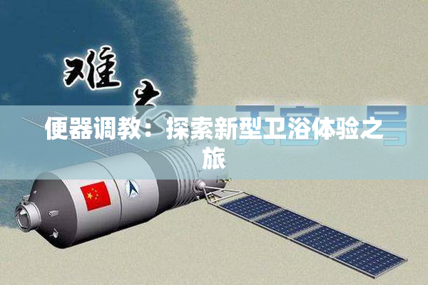 便器调教：探索新型卫浴体验之旅