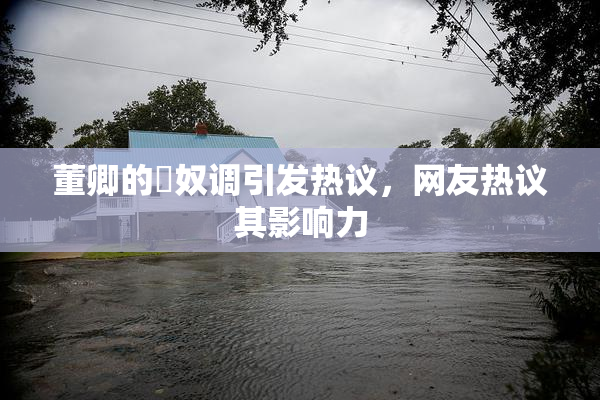 董卿的婬奴调引发热议，网友热议其影响力