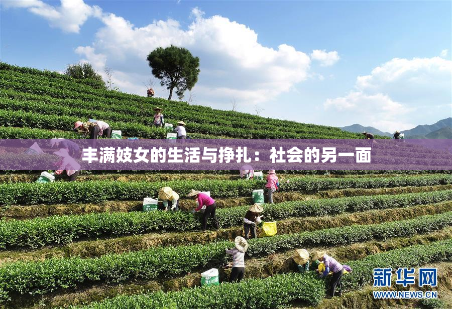 丰满妓女的生活与挣扎：社会的另一面