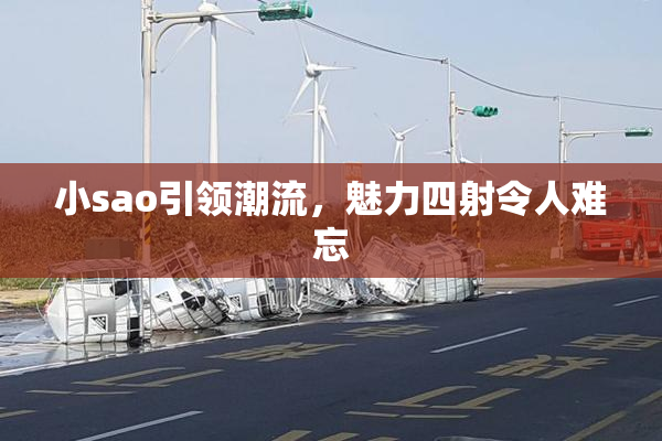小sao引领潮流，魅力四射令人难忘