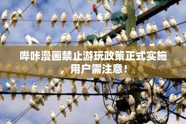 哔咔漫画禁止游玩政策正式实施，用户需注意！