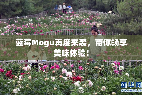蓝莓Mogu再度来袭，带你畅享美味体验！