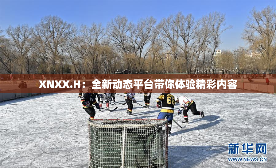 XNXX.H：全新动态平台带你体验精彩内容