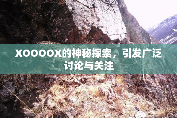 XOOOOX的神秘探索，引发广泛讨论与关注