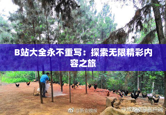 B站大全永不重写：探索无限精彩内容之旅