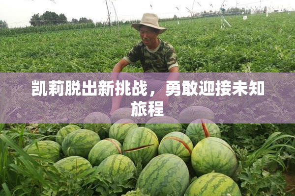 凯莉脱出新挑战，勇敢迎接未知旅程