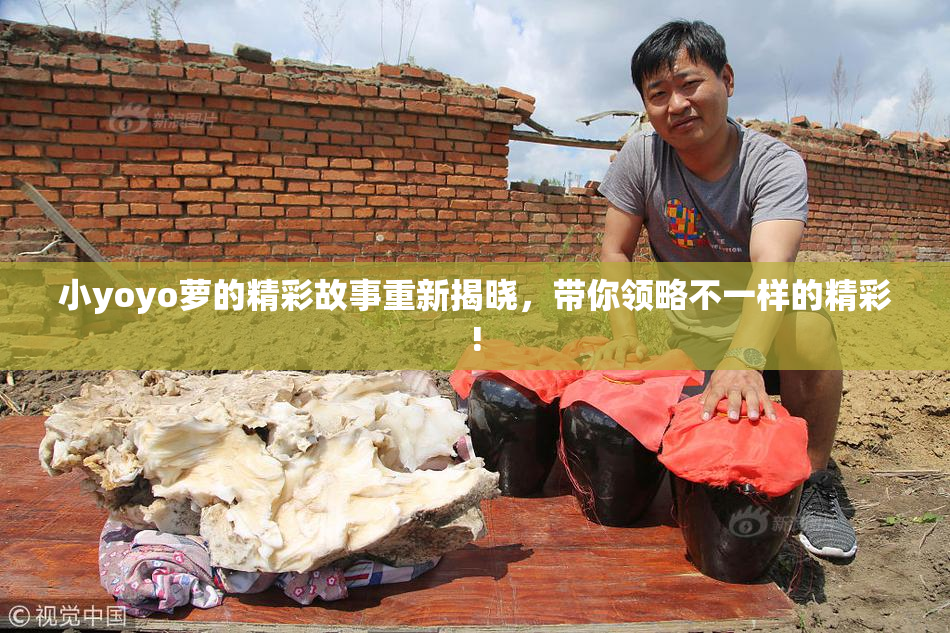 小yoyo萝的精彩故事重新揭晓，带你领略不一样的精彩!