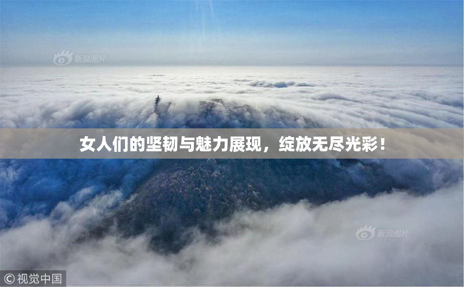 女人们的坚韧与魅力展现，绽放无尽光彩！