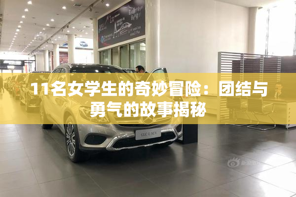 11名女学生的奇妙冒险：团结与勇气的故事揭秘