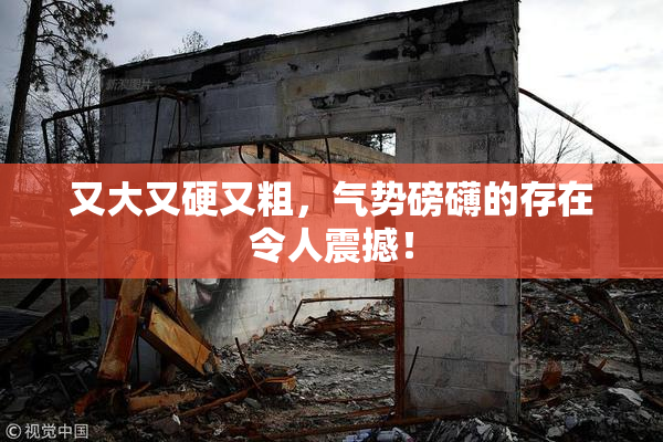 又大又硬又粗，气势磅礴的存在令人震撼！