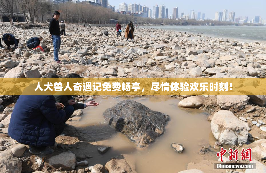 人犬兽人奇遇记免费畅享，尽情体验欢乐时刻！