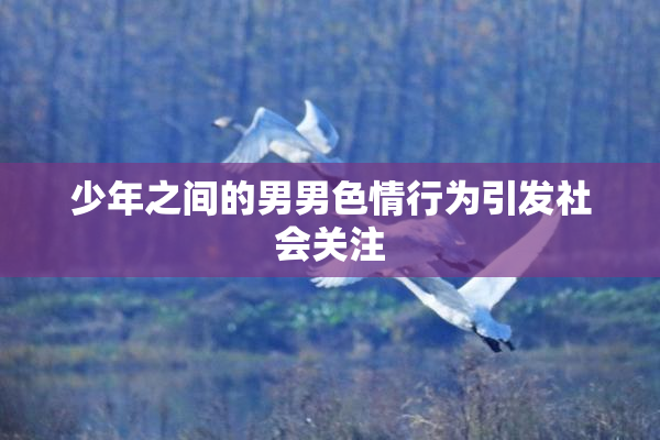 少年之间的男男色情行为引发社会关注