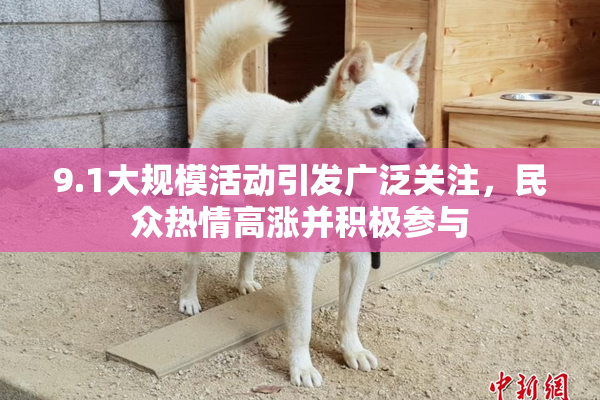 9.1大规模活动引发广泛关注，民众热情高涨并积极参与