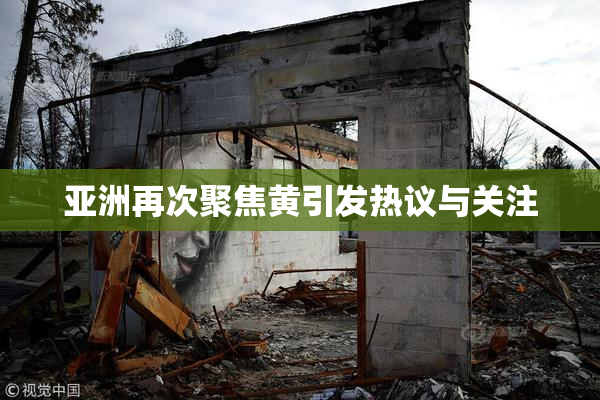 亚洲再次聚焦黄引发热议与关注