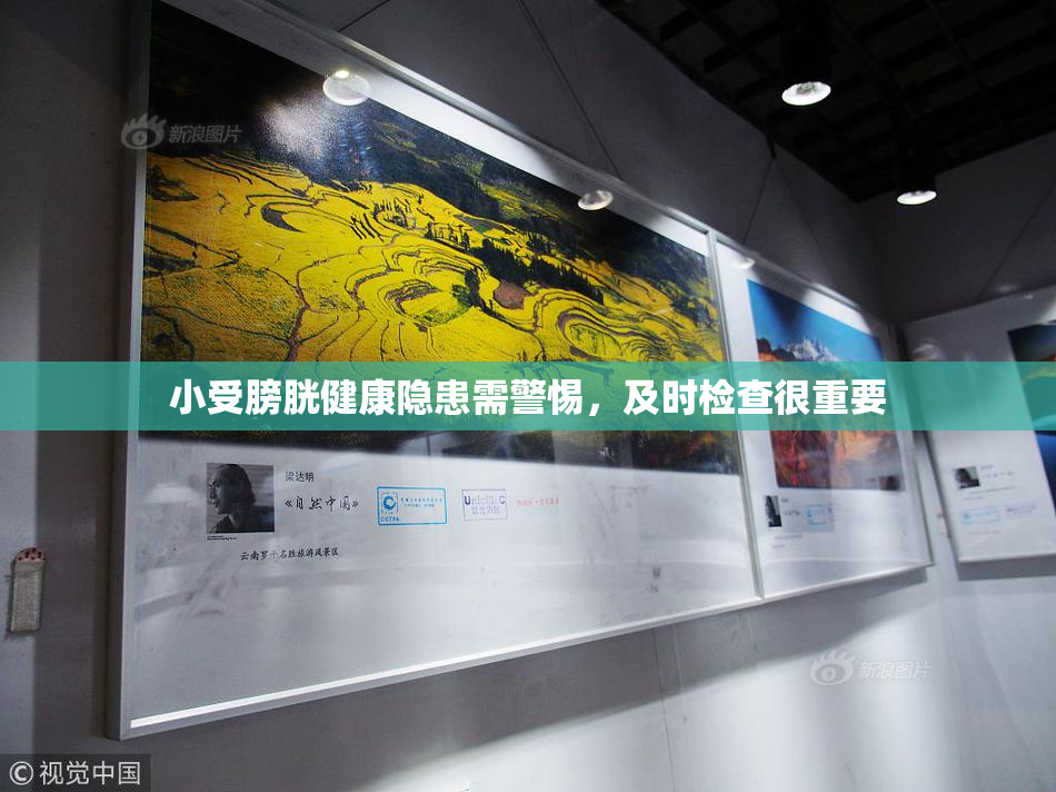 小受膀胱健康隐患需警惕，及时检查很重要