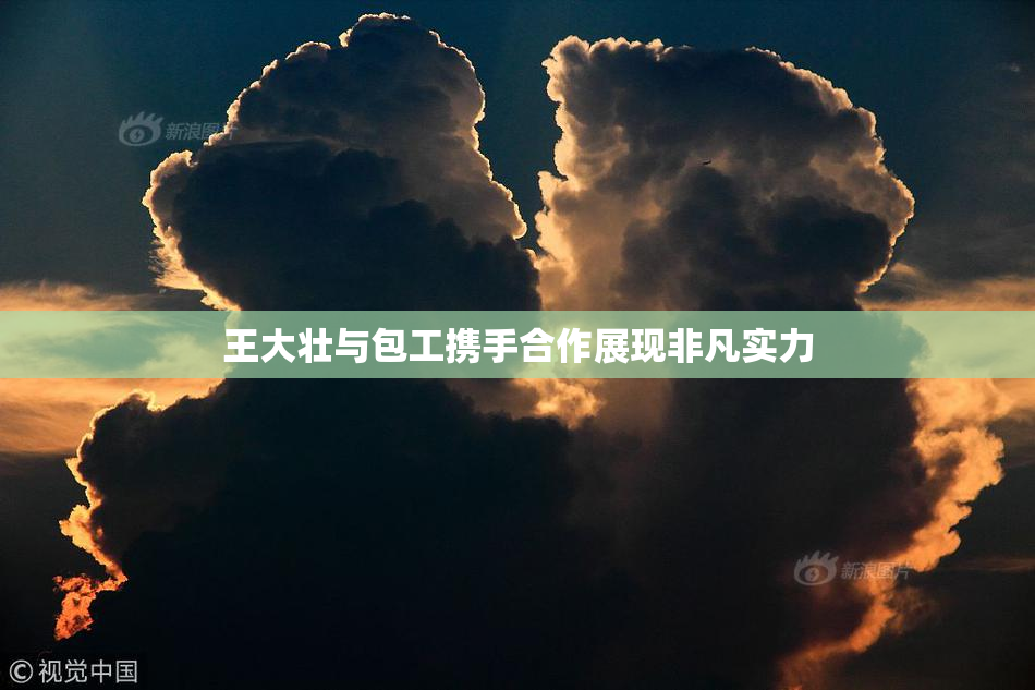 王大壮与包工携手合作展现非凡实力