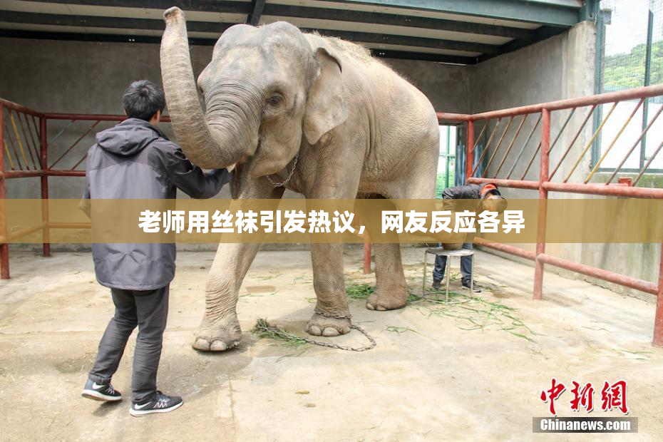 老师用丝袜引发热议，网友反应各异