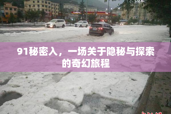 91秘密入，一场关于隐秘与探索的奇幻旅程