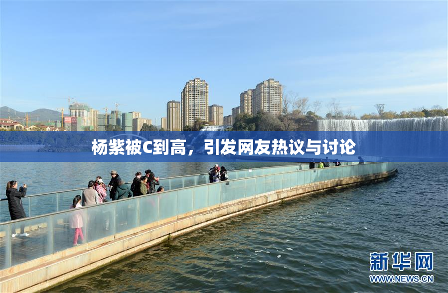 杨紫被C到高，引发网友热议与讨论