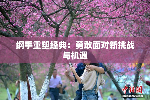 纲手重塑经典：勇敢面对新挑战与机遇