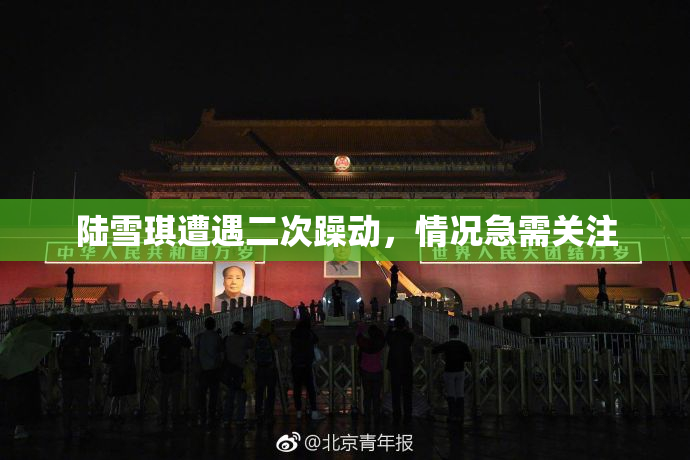 陆雪琪遭遇二次躁动，情况急需关注