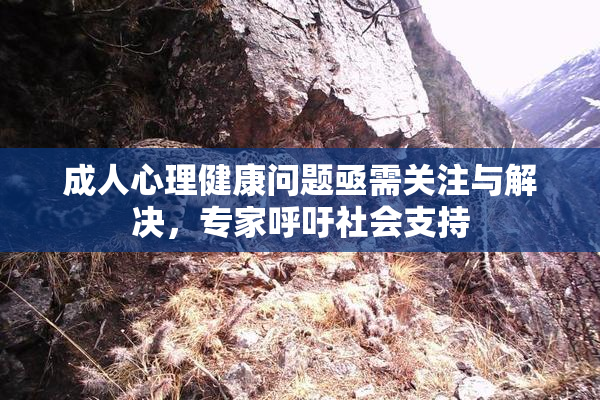 成人心理健康问题亟需关注与解决，专家呼吁社会支持
