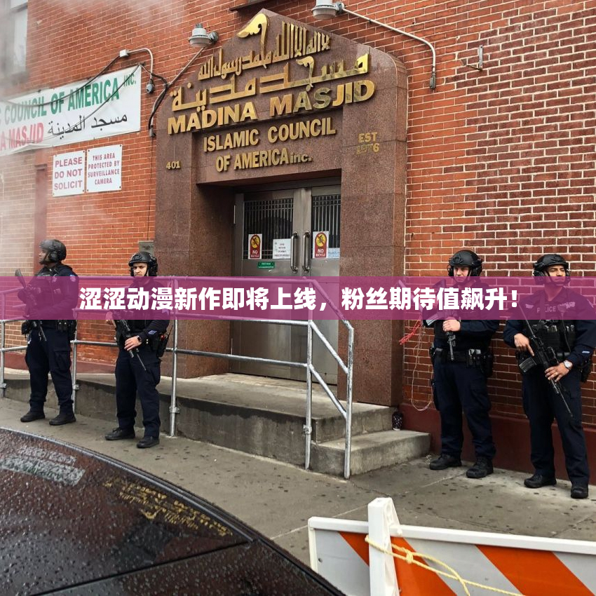 涩涩动漫新作即将上线，粉丝期待值飙升！