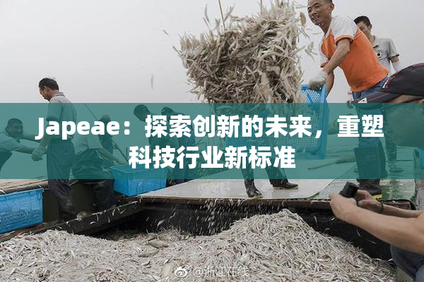 Japeae：探索创新的未来，重塑科技行业新标准