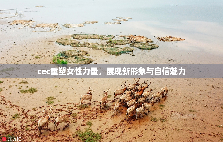 cec重塑女性力量，展现新形象与自信魅力