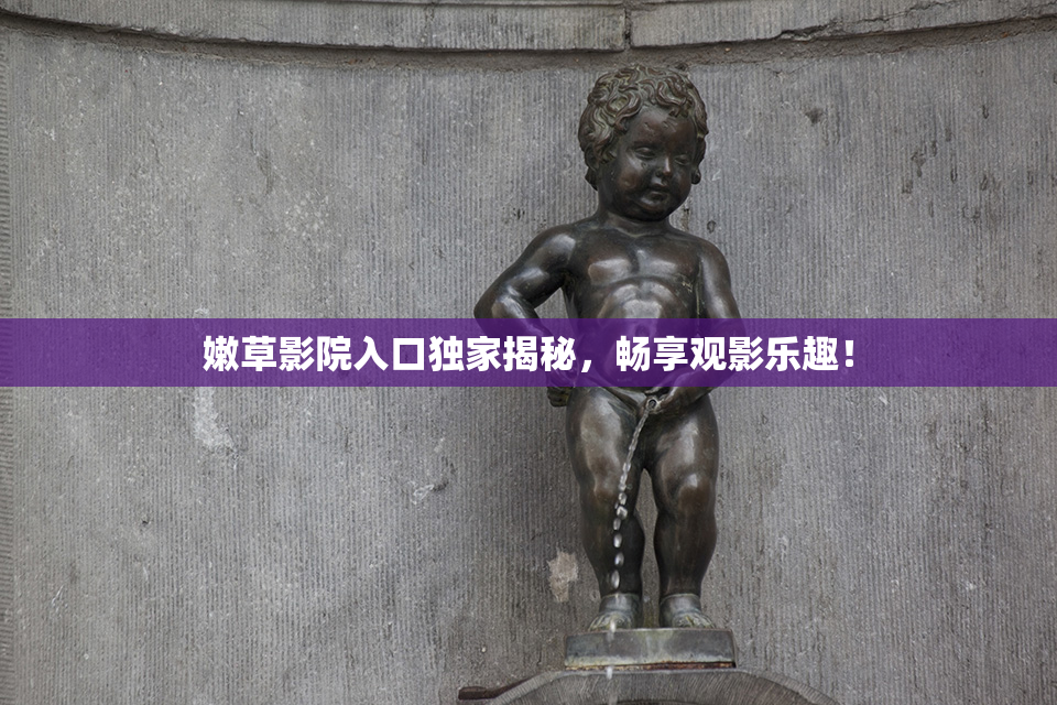 嫩草影院入口独家揭秘，畅享观影乐趣！