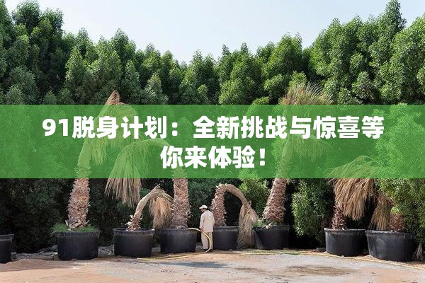 91脱身计划：全新挑战与惊喜等你来体验！