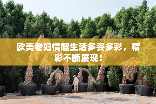 欧美老妇情趣生活多姿多彩，精彩不断展现！