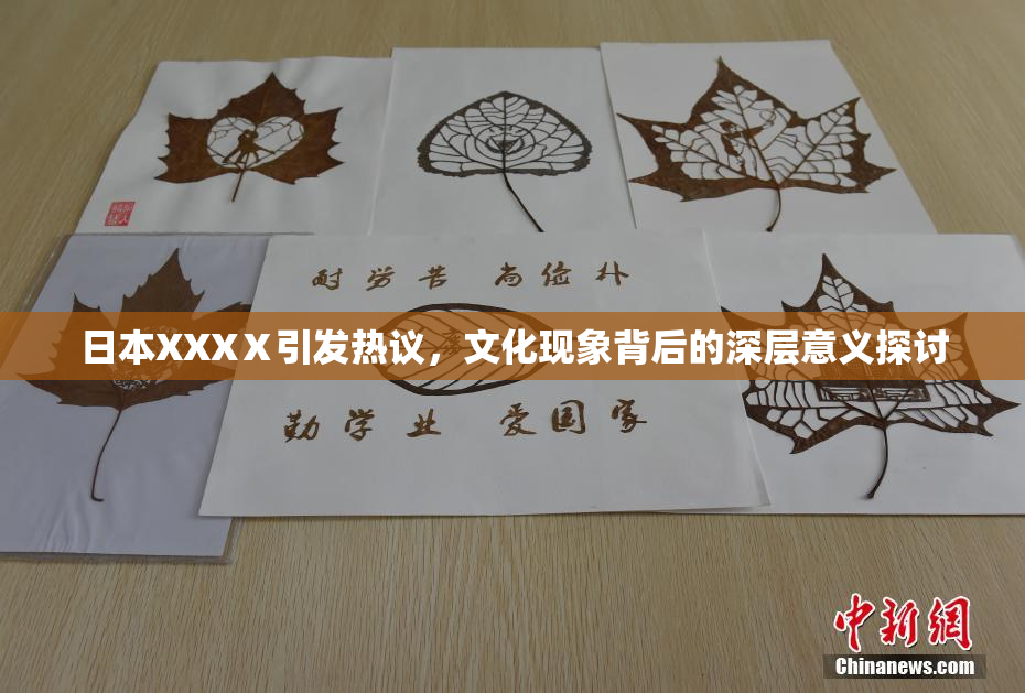 日本XXXⅩ引发热议，文化现象背后的深层意义探讨