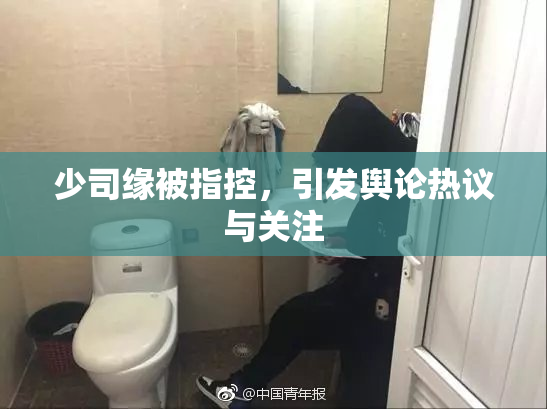 少司缘被指控，引发舆论热议与关注