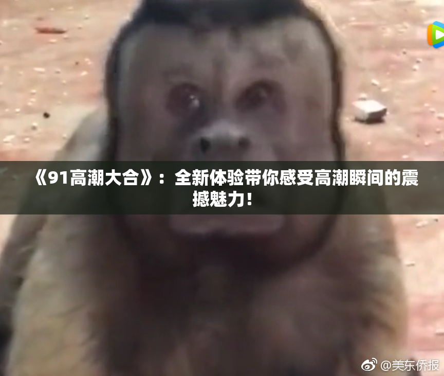《91高潮大合》：全新体验带你感受高潮瞬间的震撼魅力！