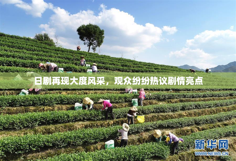 日剧再现大度风采，观众纷纷热议剧情亮点